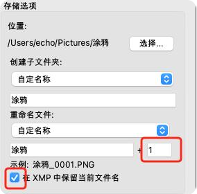 如何用Adobe Bridge从相机中下载图像9