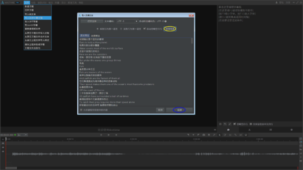 arctime pro怎么加双语字幕1