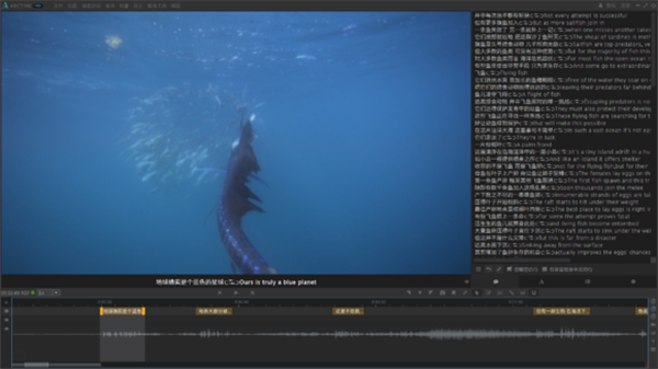 arctime pro怎么加双语字幕2