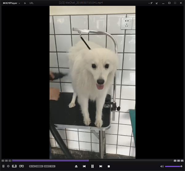 Kmplayer破解版特色截图