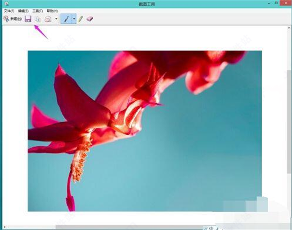 win11正式版常见问题截图6