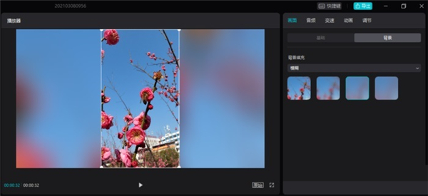 剪映官方专业版使用技巧3