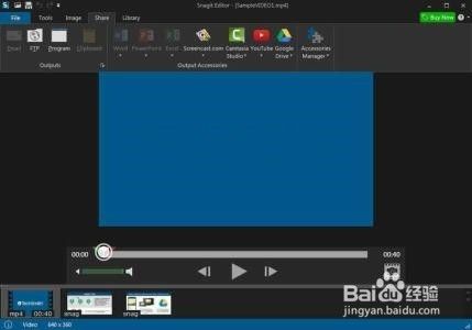 怎么用Snagit捕获图像1