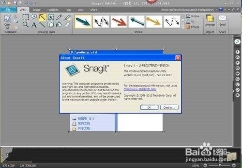 怎么用Snagit捕获图像5