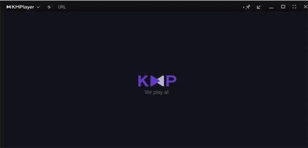 KMPlayer播放器专业版使用方法