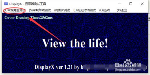 如何使用DisplayX来进行显示器的检测2