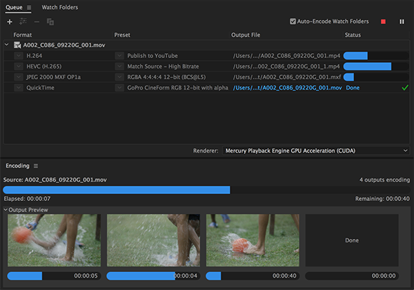 “编码”面板截图