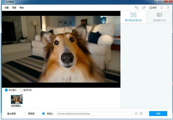 水印管家免费版使用方法截图5