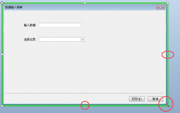 BarTender UltraLite破解版怎么调整数据输入表单的大小1