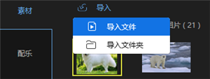 导入文件截图