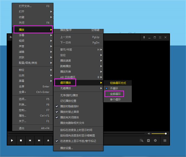 完美者解码常见问题截图1