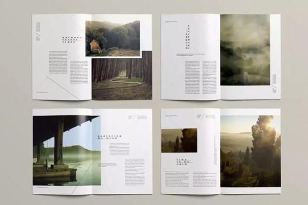 InDesign2022中文版