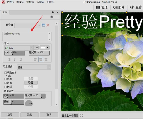 acdsee怎么编辑图片5