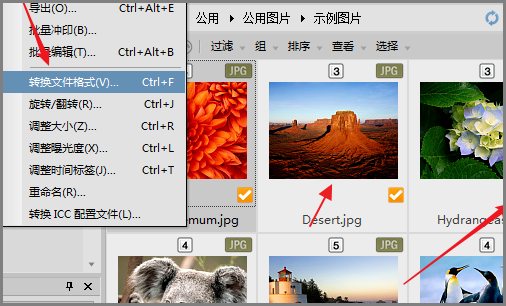 acdsee怎么压缩图片大小2