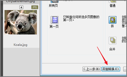 acdsee怎么压缩图片大小7