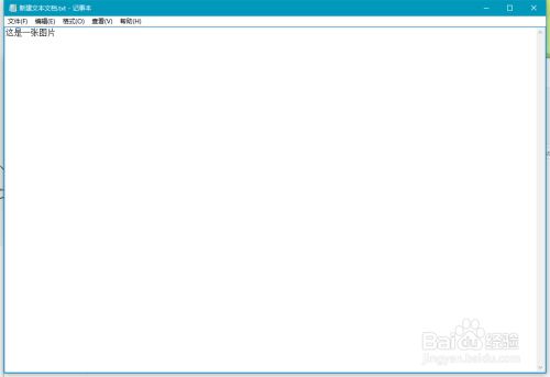 天若OCR文字识别破解版怎么识别图片文字1
