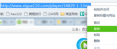 西瓜播放器电脑版使用方法
