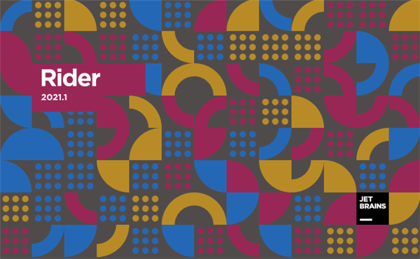 Rider 2021 Pro特色截图