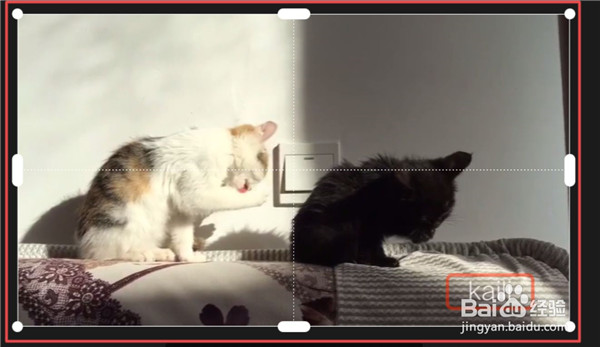 剪映电脑版怎么去水印保存别人视频