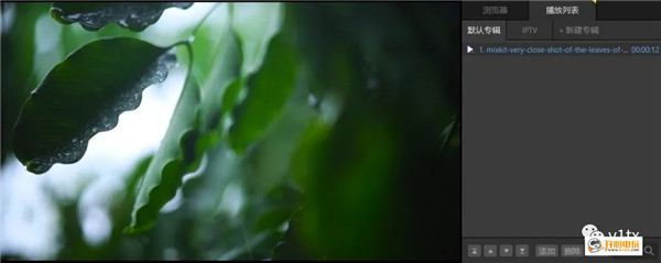 PotPlayer常见问题2