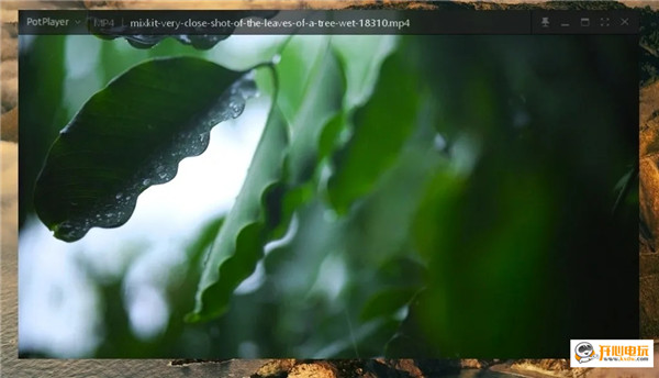 PotPlayer常见问题4