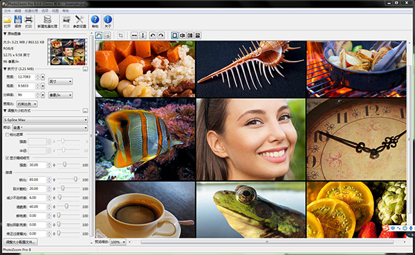 【photozoom pro8激活版下载】photozoom pro8免激活版 v8.0.6 中文激活版(附解锁代码)