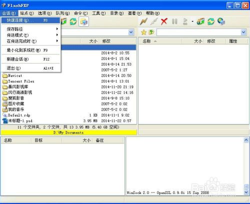 flashfxp5.4绿色版