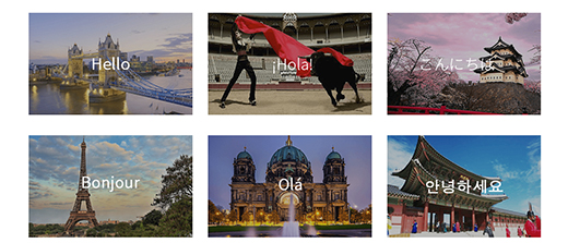 金山词霸最新版截图3