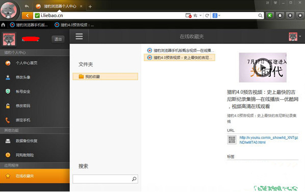 猎豹浏览器最新版截图2