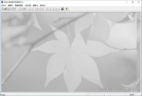 【自动人脸检测识别系统下载】自动人脸检测识别系统 v5.0 免费版
