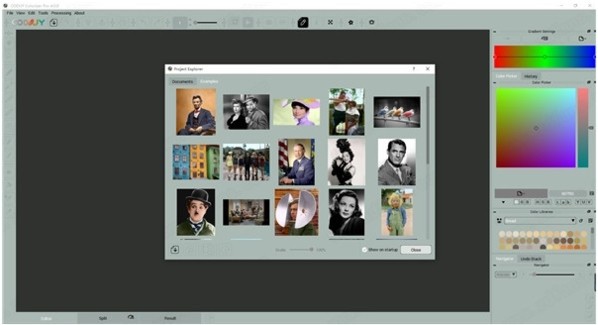 【CODIJY Colorizer Pro下载】CODIJY Colorizer Pro(照片着色软件) v3.7.6 官方版