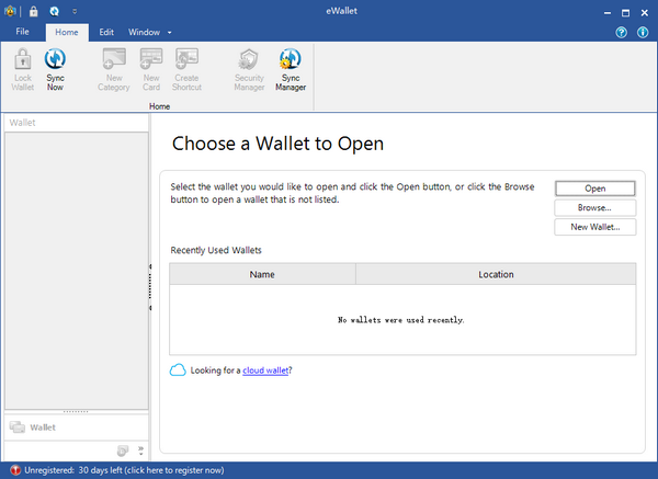 【iliumsoft eWallet官方版下载】iliumsoft eWallet(电子钱包) v8.5.6.38017 官方版