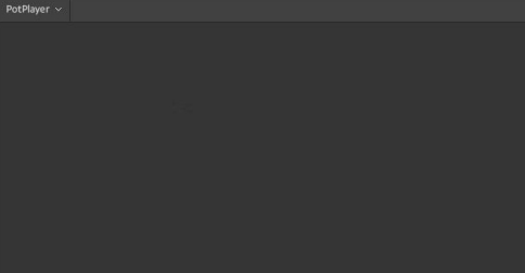 PotPlayerPC版截图7