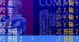 MAME模拟器截图16