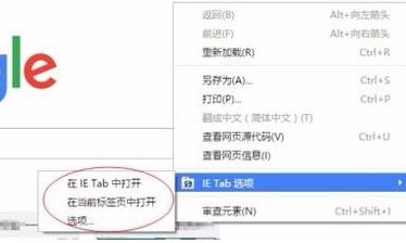 谷歌浏览器官方版截图7