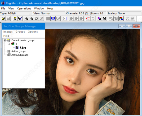【RegiStar激活版下载】RegiStar(图片处理工具) v1.0.10 官方版