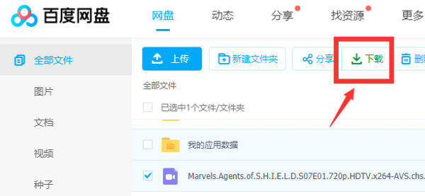 IDM下载百度网盘文件教程截图7