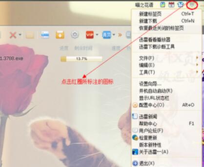 迅雷电脑破解版截图12