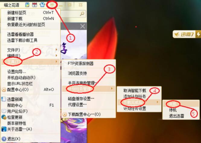 迅雷电脑破解版截图13