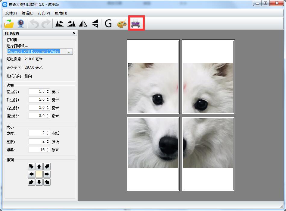 神奇大图打印软件破解版截图