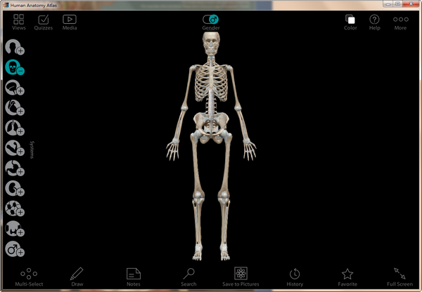【Human Anatomy Atlas Windows激活版下载】Human Anatomy Atlas Windows中文版 V2021 PC汉化版