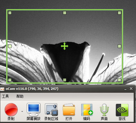 【oCam录屏激活版下载】oCam录屏工具 v2021 最新免费版