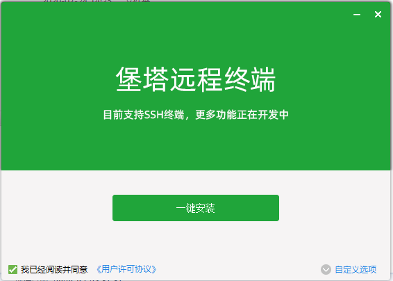 堡塔远程终端安装截图