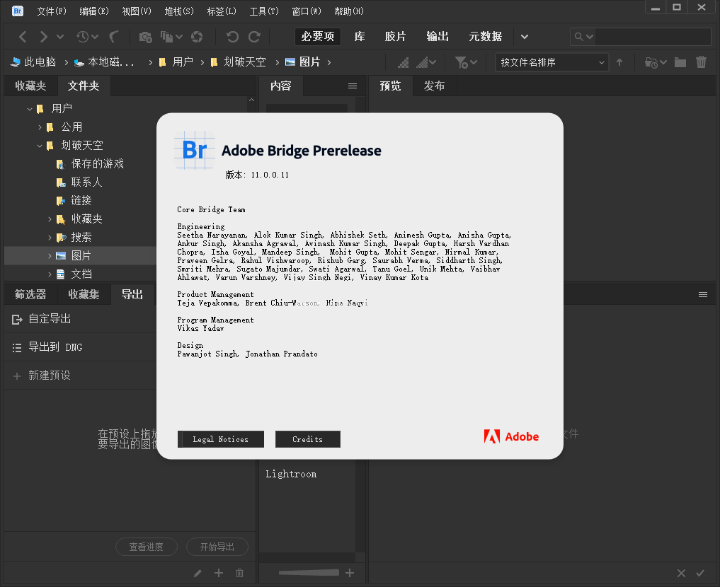 【Adobe Bridge2021最新版本下载】Adobe Bridge2021激活版 v11.0.1.109 绿色免费版