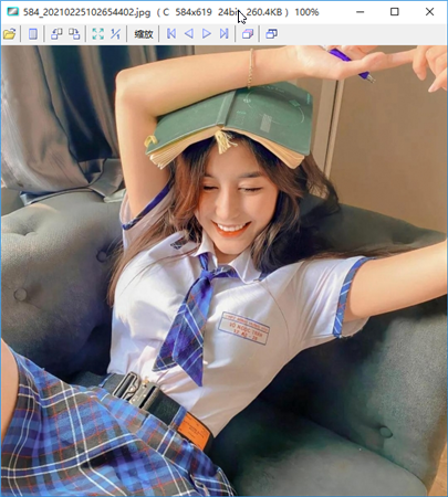 【Vieas下载】Vieas汉化版 v5.4.6 绿色版
