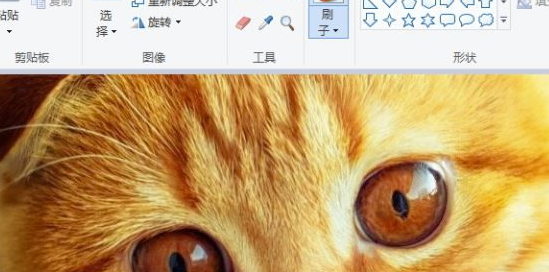 uMark6中文版使用方法