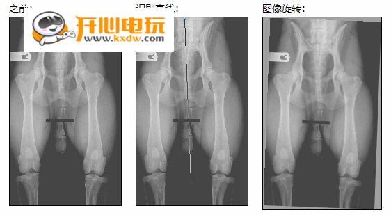 Digimizer破解版使用教程截图2