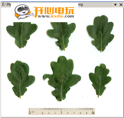 Digimizer破解版使用教程截图3