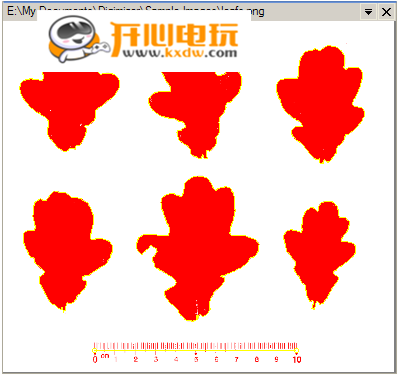 Digimizer破解版使用教程截图9