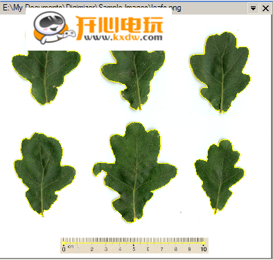 Digimizer破解版使用教程截图11